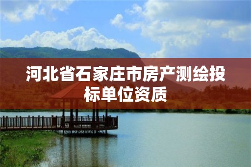 河北省石家庄市房产测绘投标单位资质