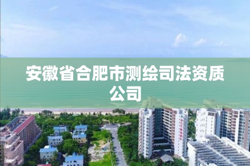 安徽省合肥市测绘司法资质公司