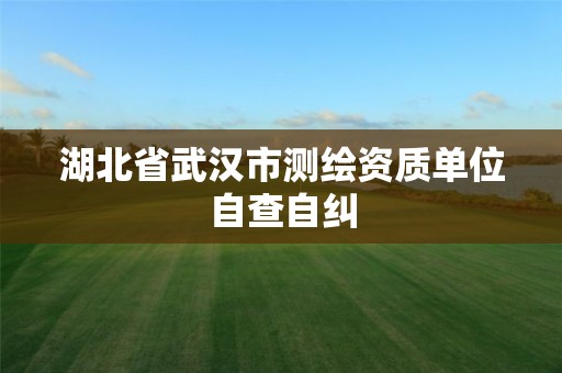 湖北省武汉市测绘资质单位自查自纠