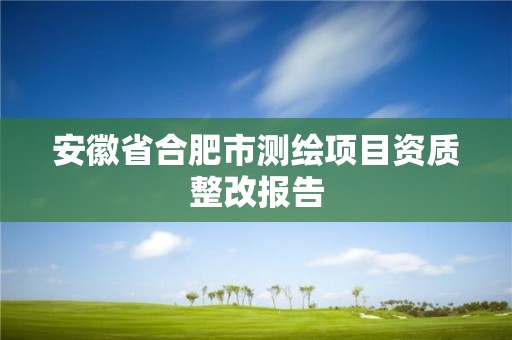 安徽省合肥市测绘项目资质整改报告