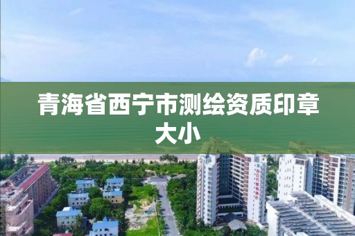 青海省西宁市测绘资质印章大小