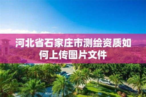 河北省石家庄市测绘资质如何上传图片文件