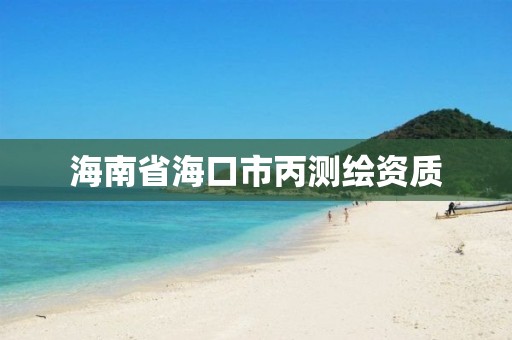 海南省海口市丙测绘资质