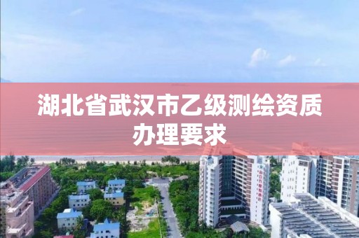 湖北省武汉市乙级测绘资质办理要求