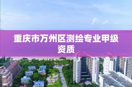 重庆市万州区测绘专业甲级资质