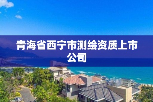 青海省西宁市测绘资质上市公司