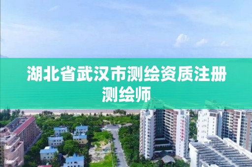 湖北省武汉市测绘资质注册测绘师