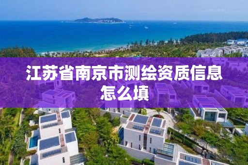 江苏省南京市测绘资质信息怎么填