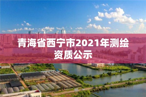 青海省西宁市2021年测绘资质公示