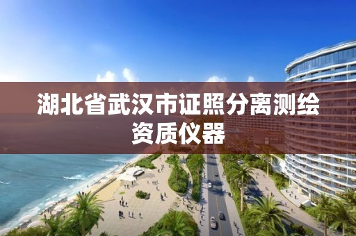 湖北省武汉市证照分离测绘资质仪器