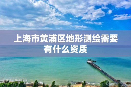 上海市黄浦区地形测绘需要有什么资质