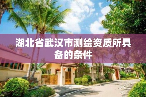 湖北省武汉市测绘资质所具备的条件