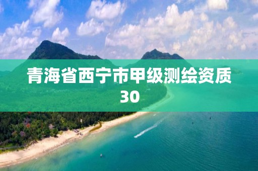 青海省西宁市甲级测绘资质30