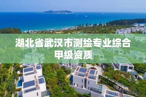 湖北省武汉市测绘专业综合甲级资质