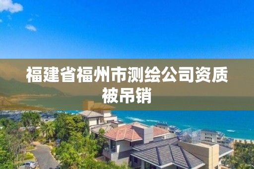 福建省福州市测绘公司资质被吊销