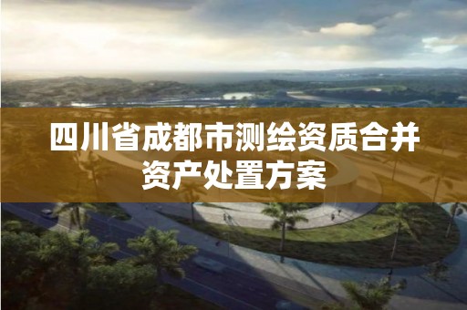 四川省成都市测绘资质合并资产处置方案