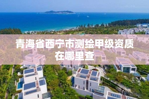 青海省西宁市测绘甲级资质在哪里查