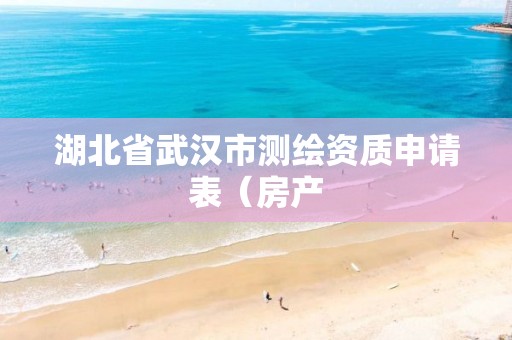 湖北省武汉市测绘资质申请表（房产