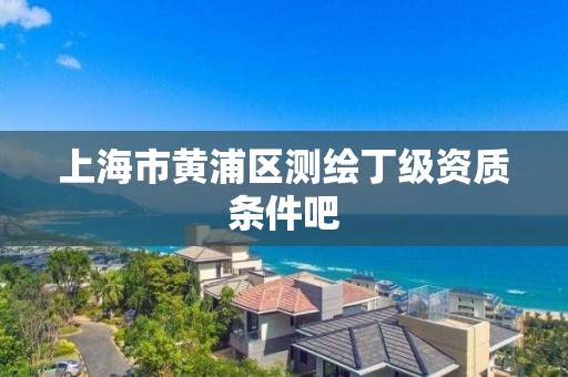 上海市黄浦区测绘丁级资质条件吧