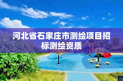 河北省石家庄市测绘项目招标测绘资质