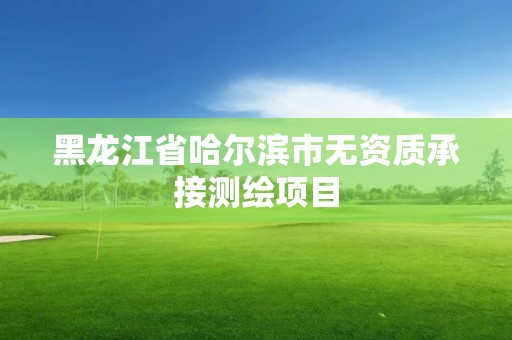 黑龙江省哈尔滨市无资质承接测绘项目