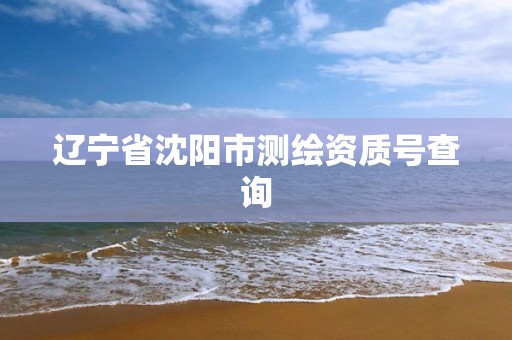 辽宁省沈阳市测绘资质号查询