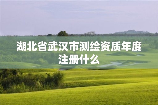 湖北省武汉市测绘资质年度注册什么