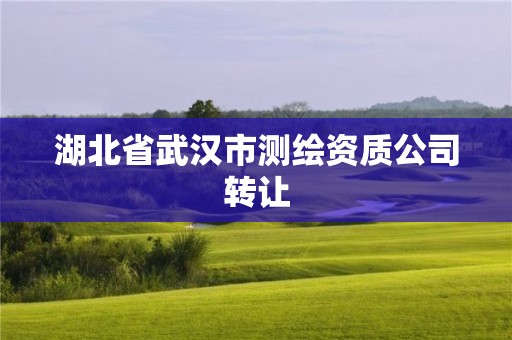 湖北省武汉市测绘资质公司转让