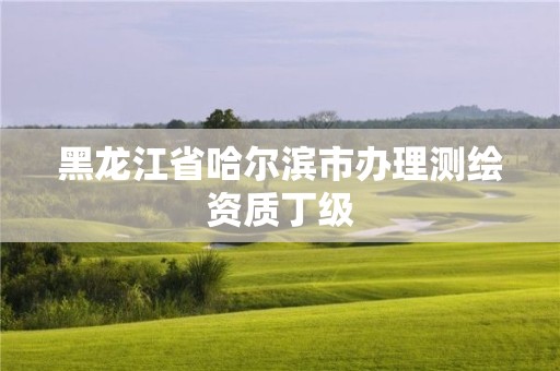 黑龙江省哈尔滨市办理测绘资质丁级