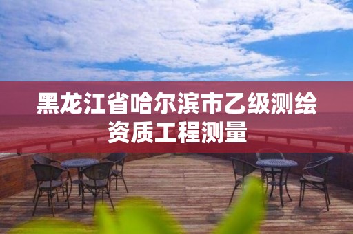 黑龙江省哈尔滨市乙级测绘资质工程测量