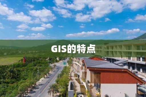 GIS的特点