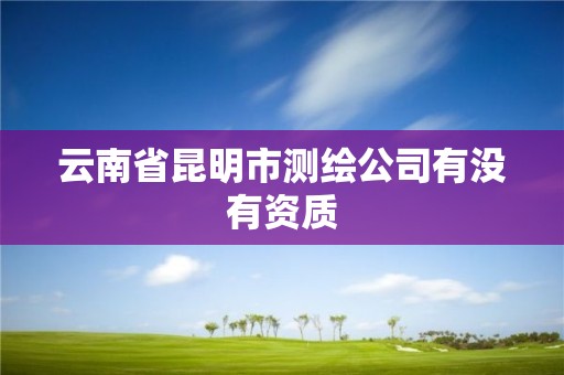 云南省昆明市测绘公司有没有资质