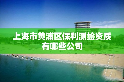 上海市黄浦区保利测绘资质有哪些公司