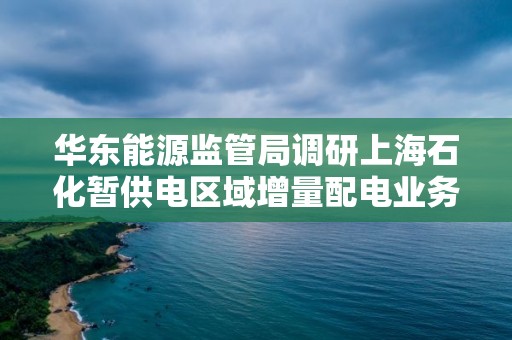 华东能源监管局调研上海石化暂供电区域增量配电业务改革试点项目