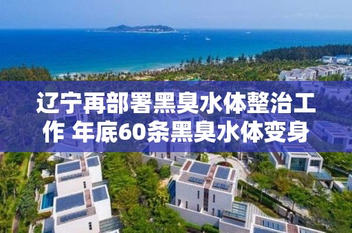 辽宁再部署黑臭水体整治工作 年底60条黑臭水体变身“清水河”