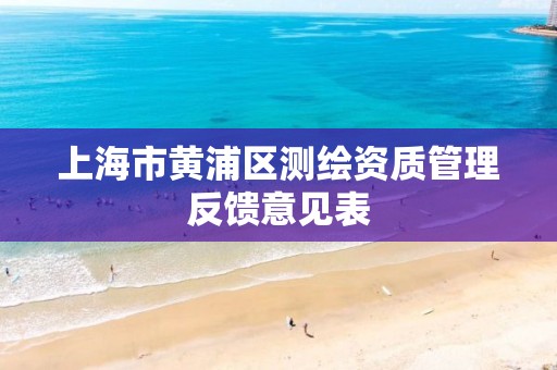 上海市黄浦区测绘资质管理反馈意见表