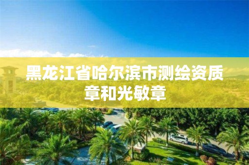 黑龙江省哈尔滨市测绘资质章和光敏章