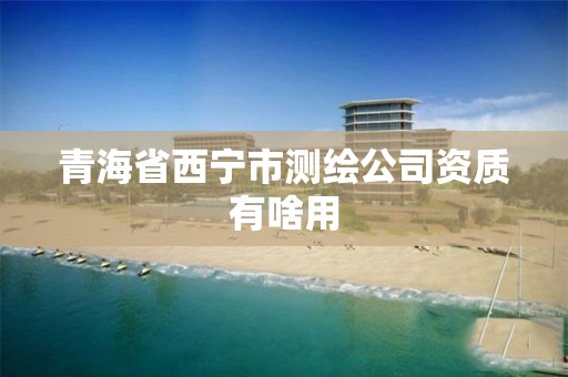 青海省西宁市测绘公司资质有啥用