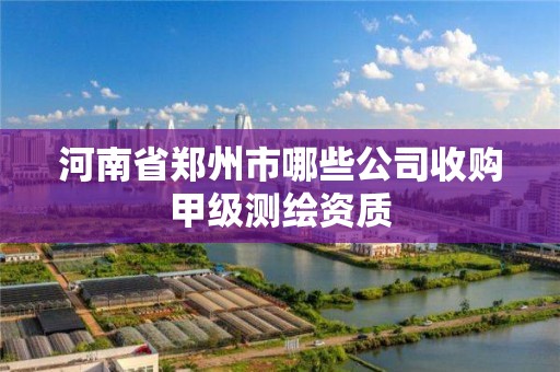 河南省郑州市哪些公司收购甲级测绘资质