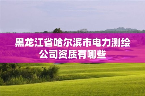 黑龙江省哈尔滨市电力测绘公司资质有哪些