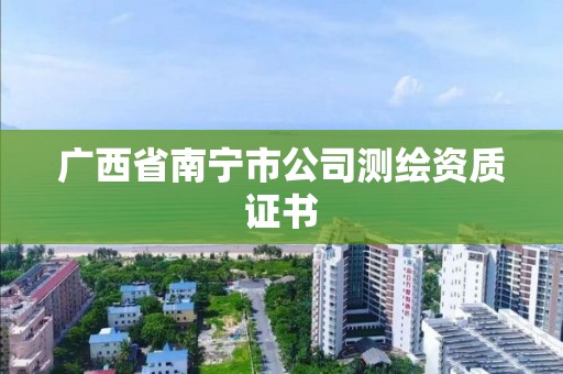 广西省南宁市公司测绘资质证书