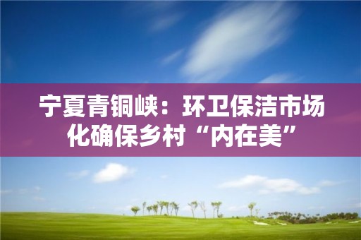 宁夏青铜峡：环卫保洁市场化确保乡村“内在美”