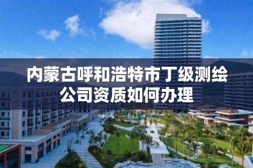 内蒙古呼和浩特市丁级测绘公司资质如何办理