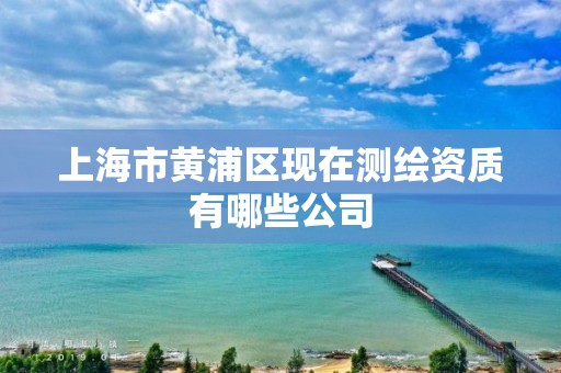 上海市黄浦区现在测绘资质有哪些公司