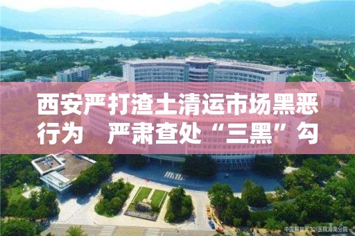 西安严打渣土清运市场黑恶行为　严肃查处“三黑”勾结执法人员问题