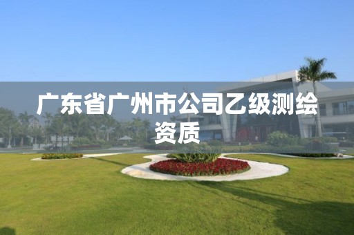 广东省广州市公司乙级测绘资质