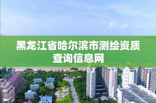 黑龙江省哈尔滨市测绘资质查询信息网