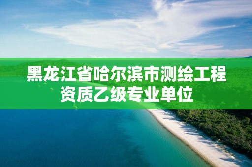 黑龙江省哈尔滨市测绘工程资质乙级专业单位