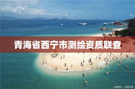 青海省西宁市测绘资质联查