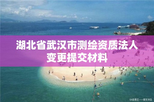 湖北省武汉市测绘资质法人变更提交材料